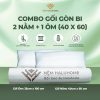 Combo Gối gòn bi 2 nằm + 1 ôm (40x60)