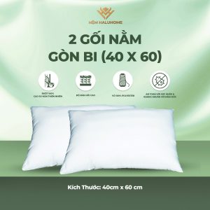 2 Gối nằm gòn bi (40x60)