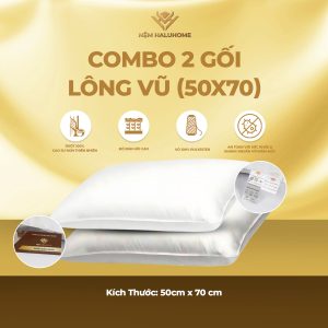 Combo 2 gối lông vũ (50x70)
