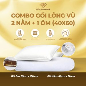 Combo gối lông vũ 2m nằm + 1 ôm (40x60)
