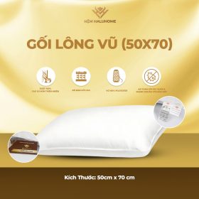 Gối lông vũ (50x70)