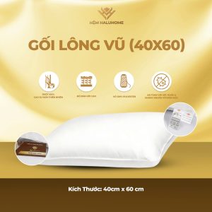 Gối lông vũ (40x60)